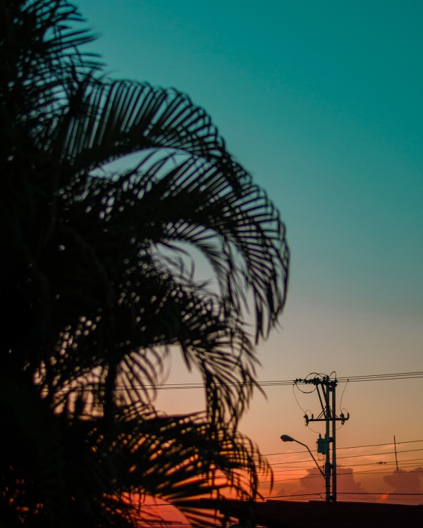 RETRATO POR OCACIÓN ESPECIAL