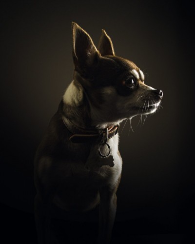 retrato Low Key Mila