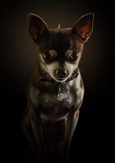 Retrato Low Key Mila