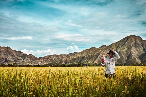 ARROZ FLORHUILA | MAKING OF