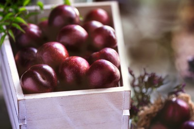 Fotografía de producto agrícola