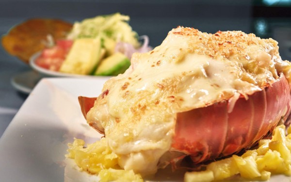 Fotografía Gastronómica en Estudio