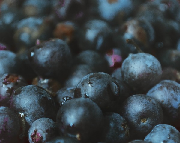 Fotografía Gastronómica para Redes Sociales