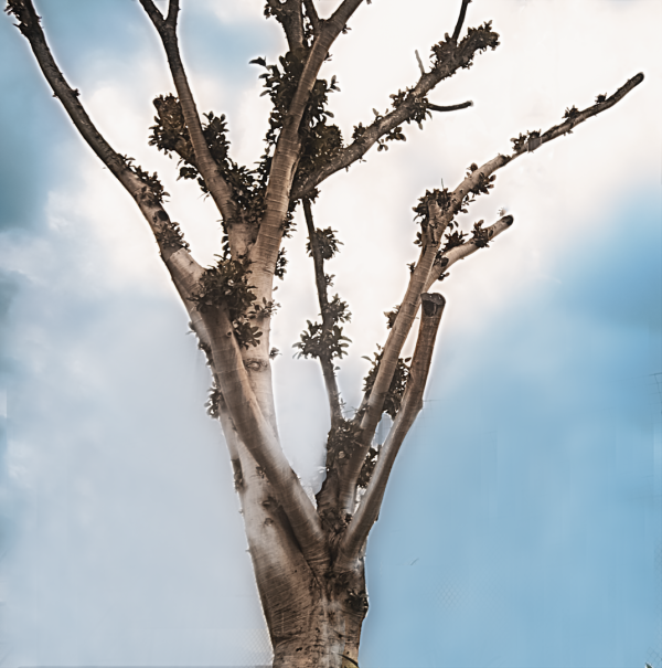 Fotografía Fine Art