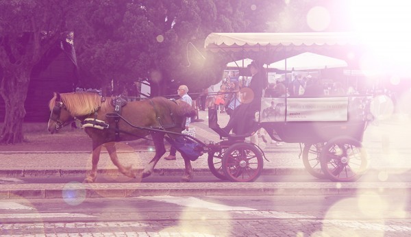 Boda En Madrid España