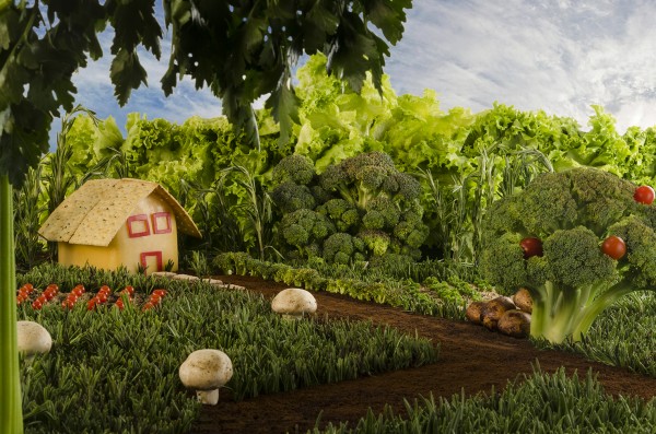 Paisaje de alimentos